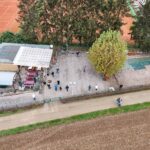 DJI_20241116133937_0098_D