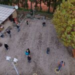 DJI_20241116140341_0139_D
